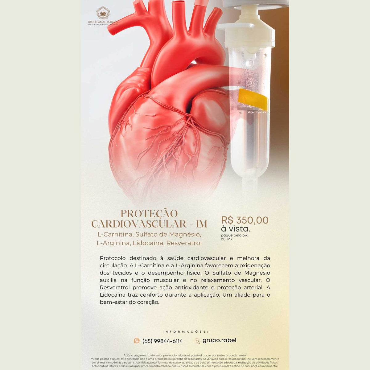 PROTEÇÃO CARDIOVASCULAR - IM - L-Carnitina, Sulfato de Magnésio, L-Arginina, Lidocaína, Resveratrol