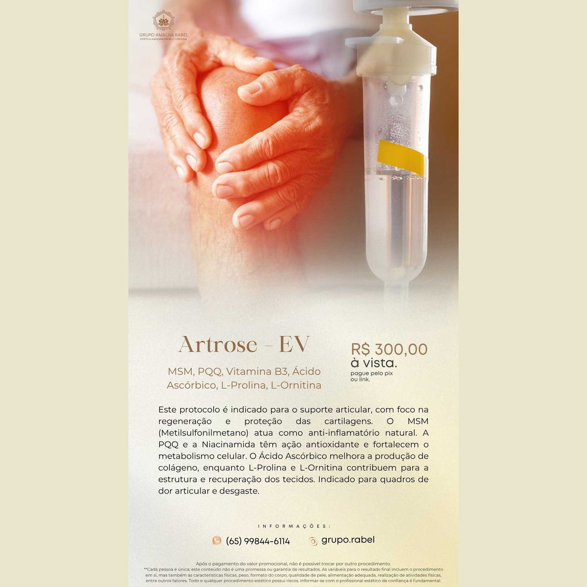 Artrose - EV - MSM, PQQ, Vitamina B3, Ácido Ascórbico, L-Prolina, L-Ornitina