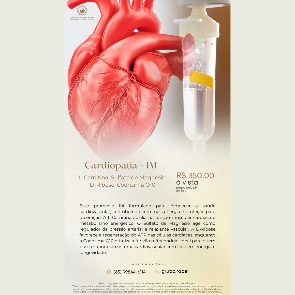 Cardiopatia - IM - L-Carnitina, Sulfato de Magnésio, D-Ribose, Coenzima Q10